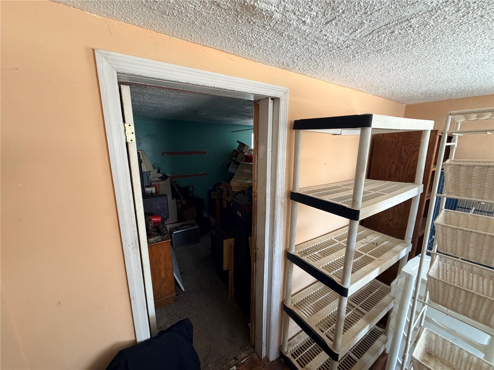  New Port Richey FL 34652 W7884359 image33