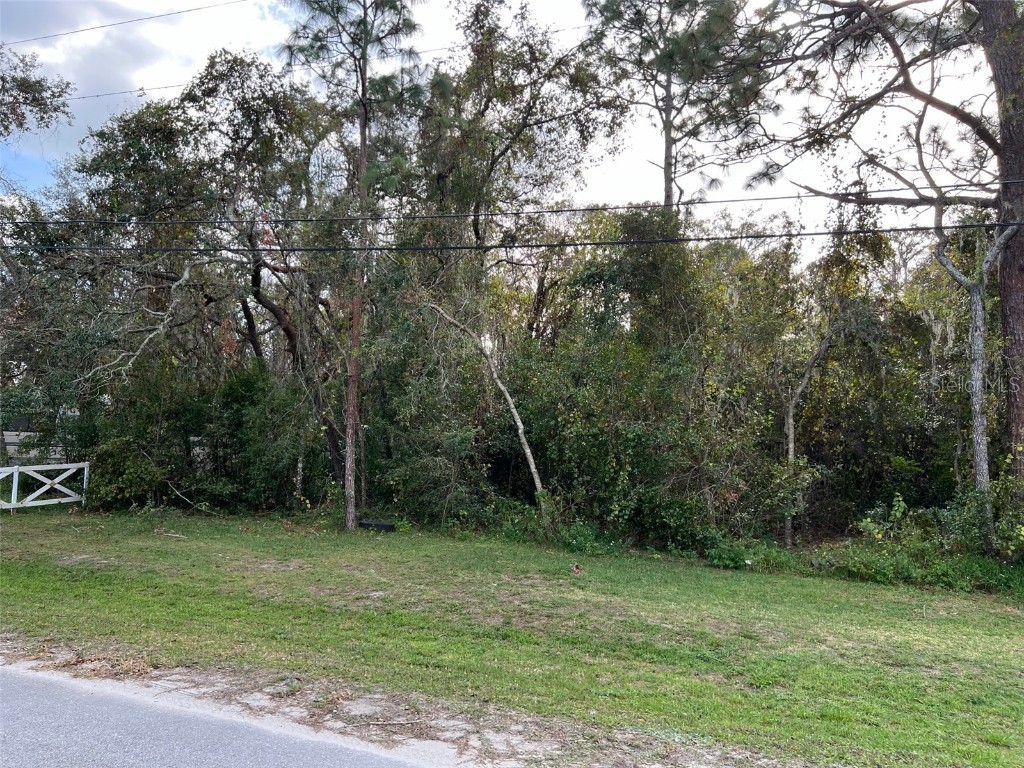  New Port Richey FL 34654 TB8318934 image2