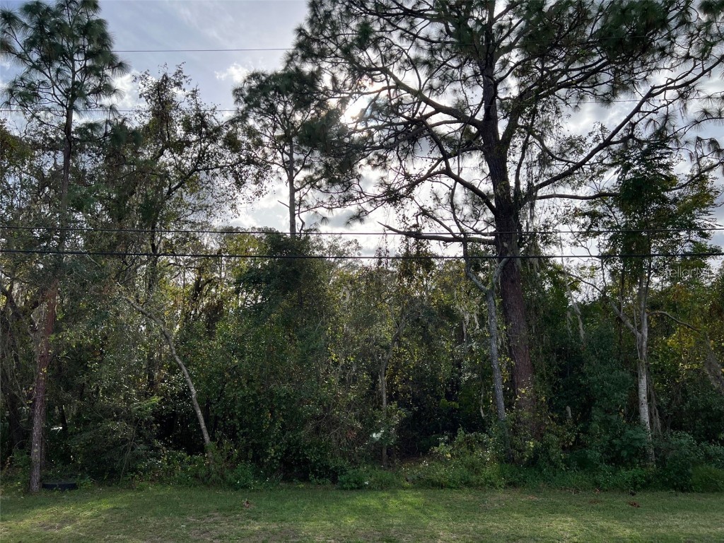  New Port Richey FL 34654 TB8318934 image4