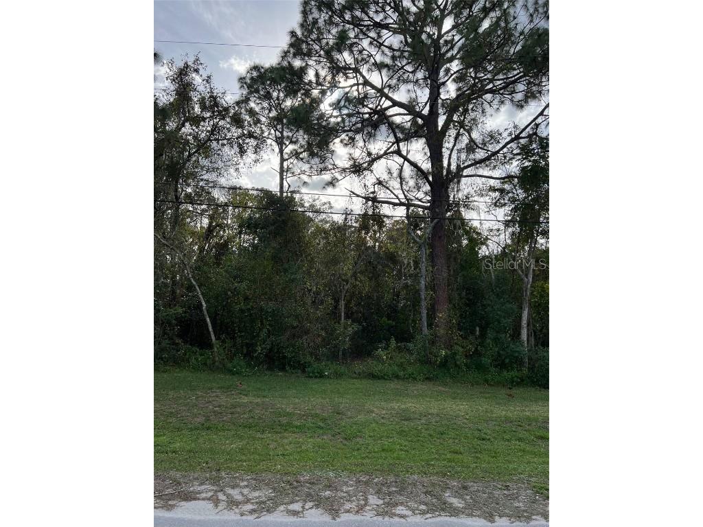  New Port Richey FL 34654 TB8318934 image5