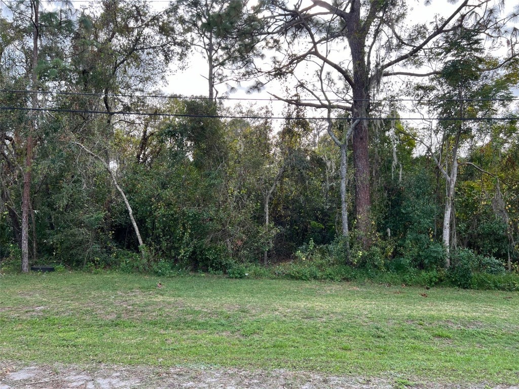  New Port Richey FL 34654 TB8318934 image6