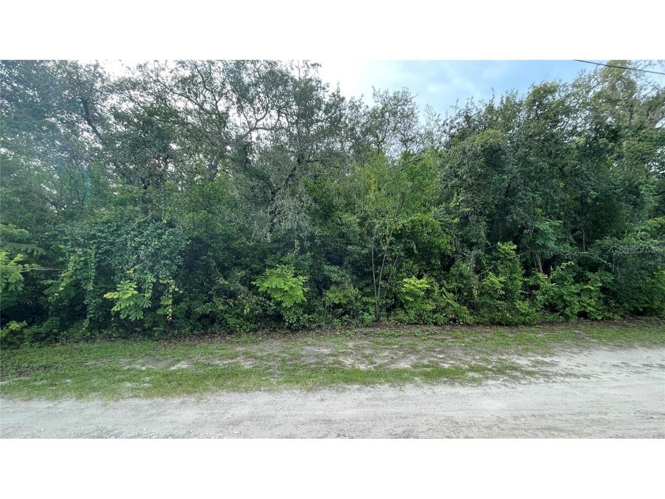  New Port Richey FL 34654 W7855911 image1