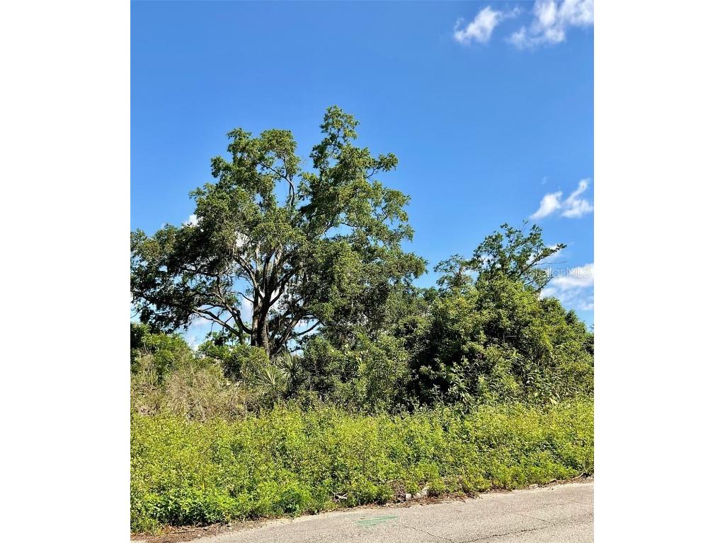  New Smyrna Beach FL 32168 O6309410 image1