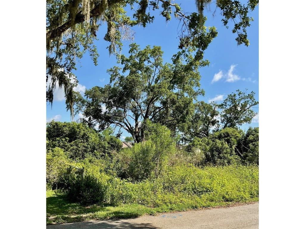  New Smyrna Beach FL 32168 O6309410 image2