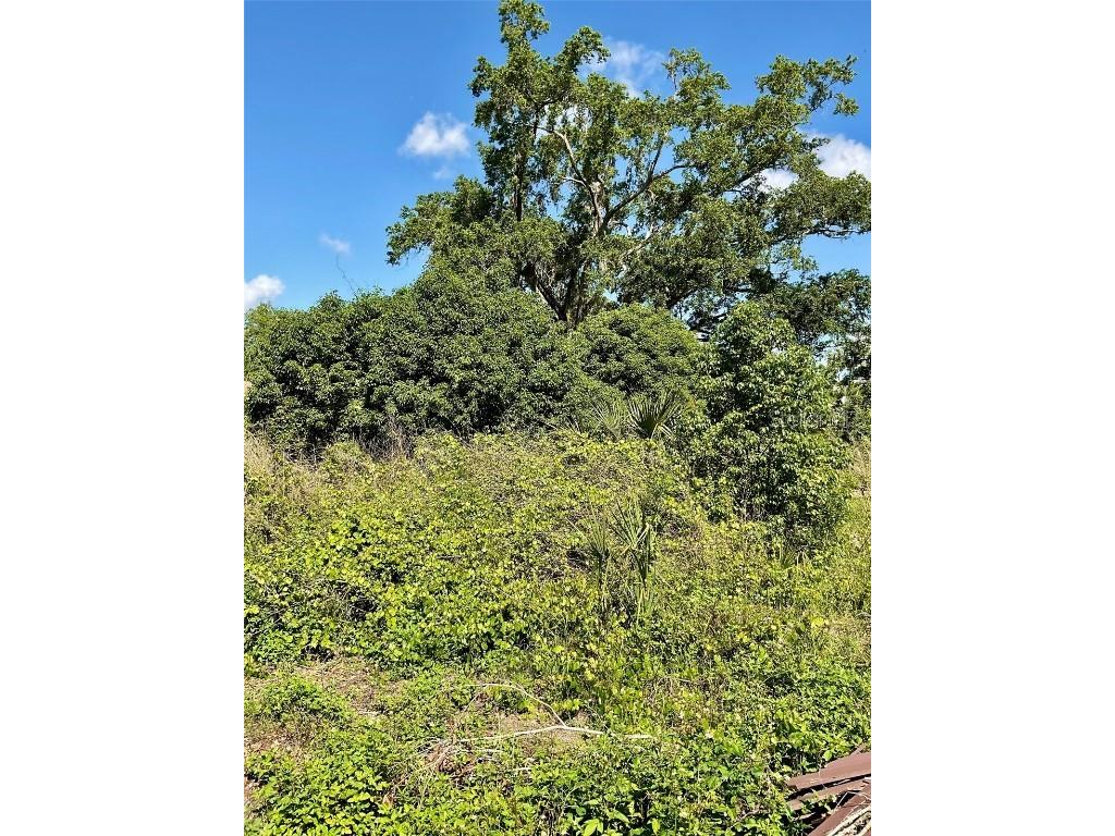  New Smyrna Beach FL 32168 O6309410 image3