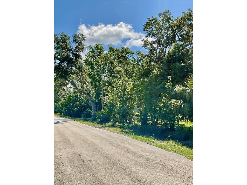  New Smyrna Beach FL 32168 O6309410 image6