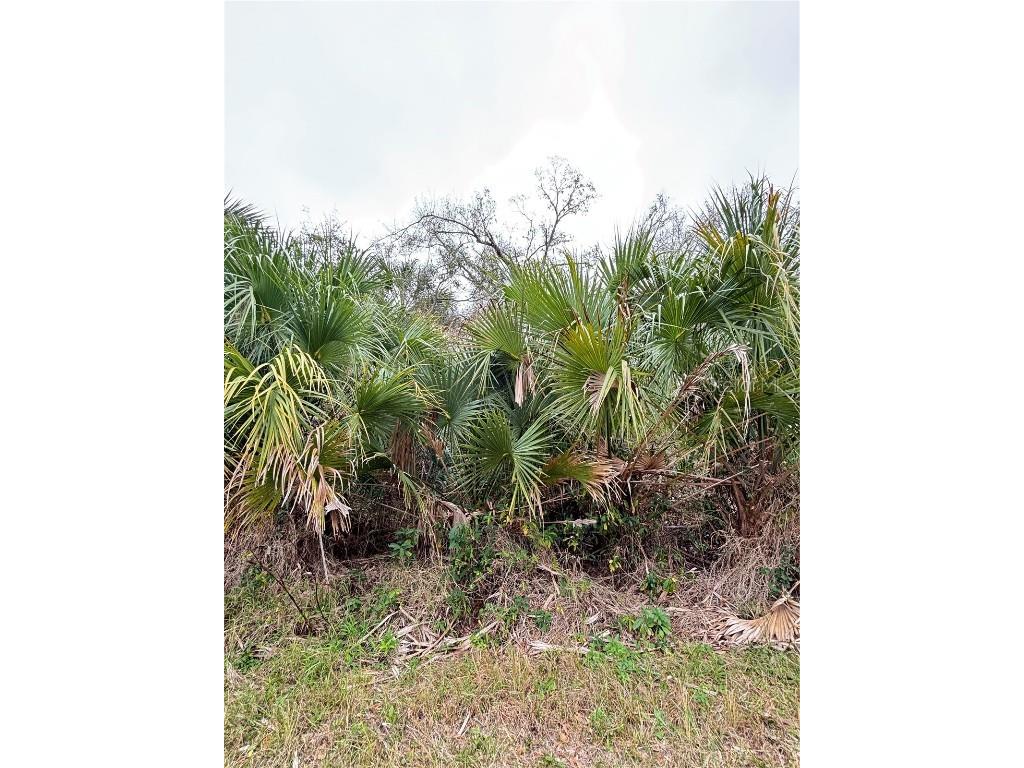  North Port FL 34286 A4640585 image1