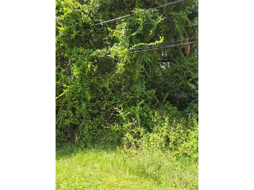  North Port FL 34286 A4666045 image3