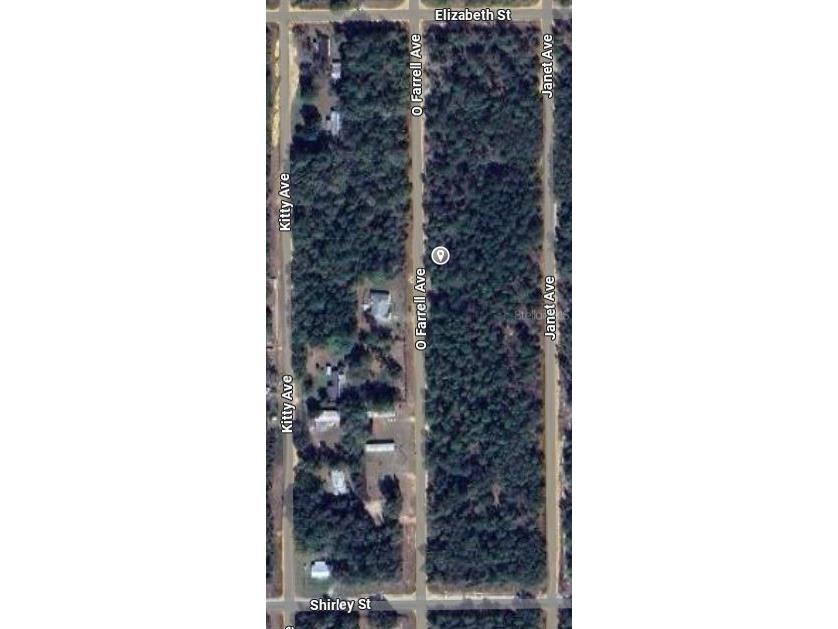 O Farrel Avenue Interlachen FL 32148 OM696588 image2