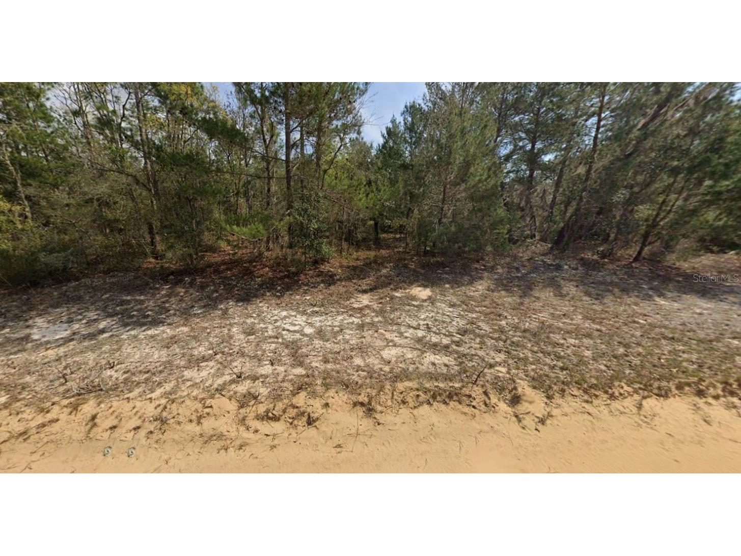 O Farrel Avenue Interlachen FL 32148 OM696588 image3