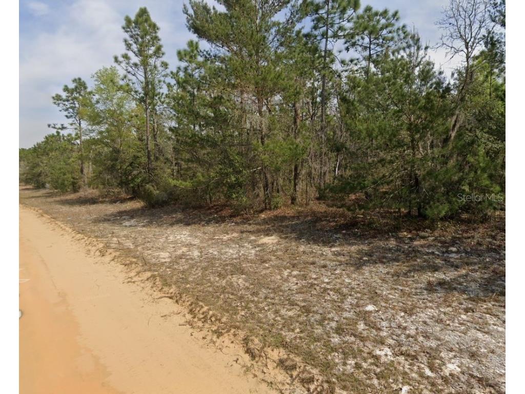 O Farrel Avenue Interlachen FL 32148 OM696588 image4