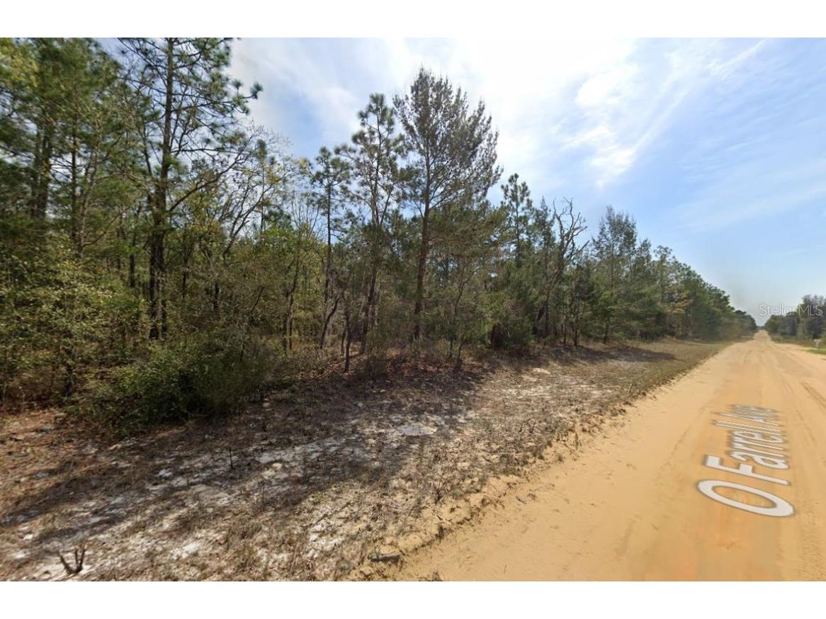 O Farrel Avenue Interlachen FL 32148 OM696588 image5