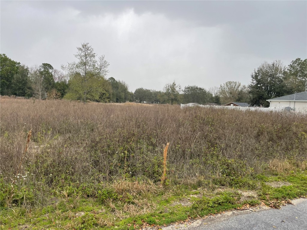 O Nw 4th St Ocala FL 34482 S5100286 image1