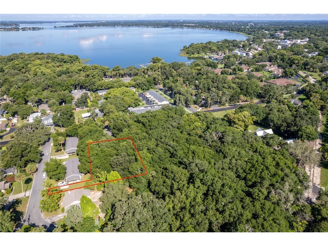 Oak Avenue Mount Dora FL 32757 O6245703 image1