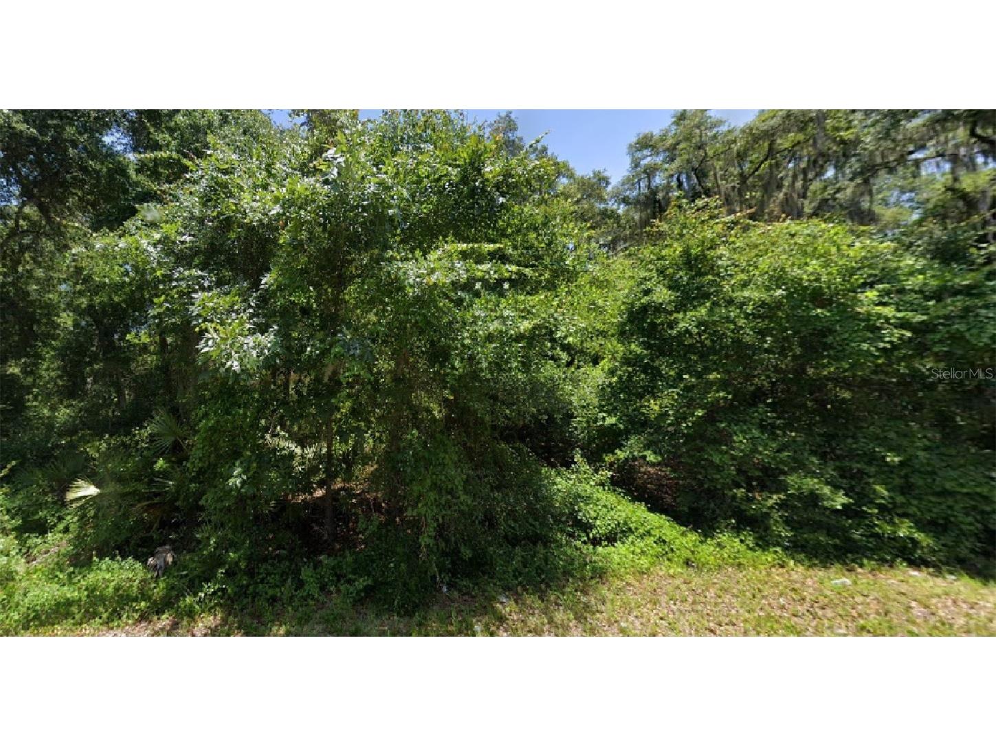 Oak Circle Ocala FL 34472 O6130443 image1