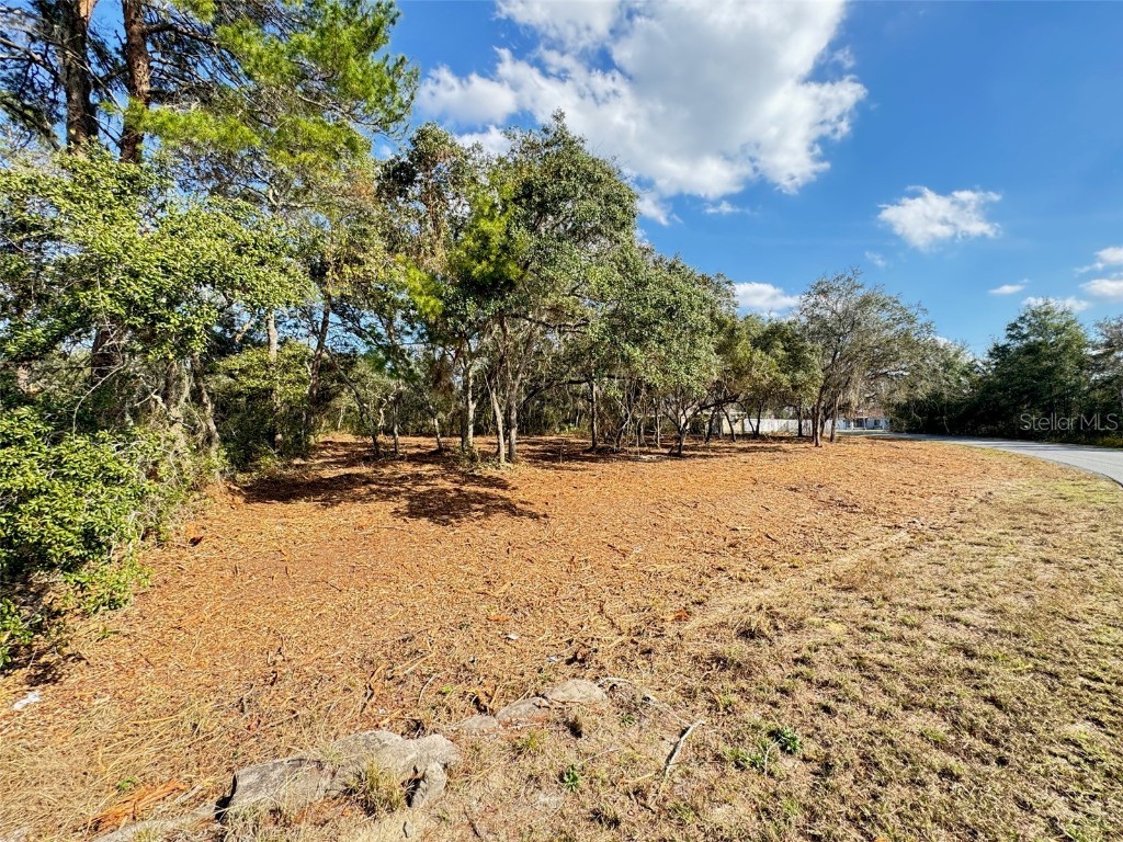 Oak Circle Ocala FL 34472 G5093766 image2