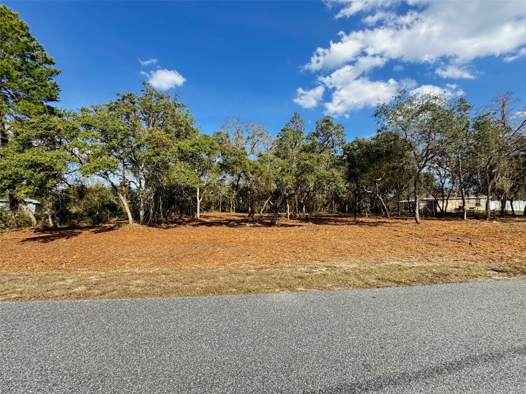 Oak Circle Ocala FL 34472 G5093766 image3