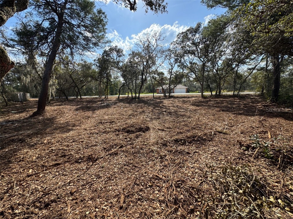 Oak Circle Ocala FL 34472 G5093766 image6