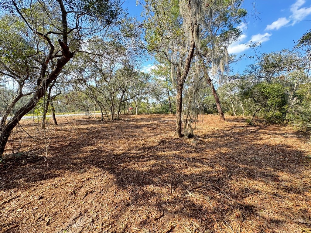 Oak Circle Ocala FL 34472 G5093766 image7