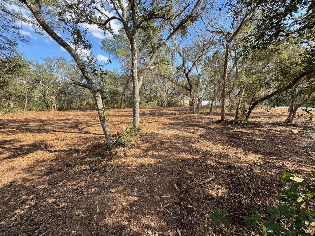 Oak Circle Ocala FL 34472 G5093766 image8