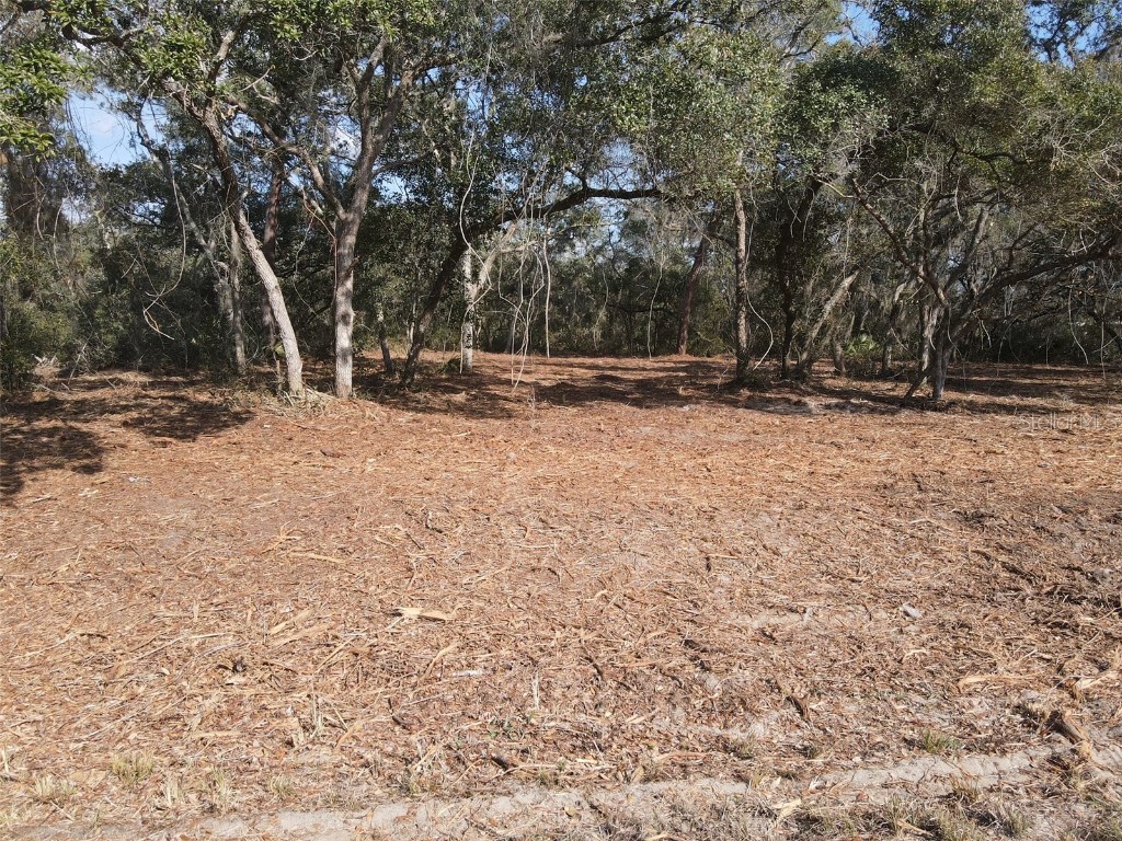 Oak Circle Ocala FL 34472 G5093766 image9