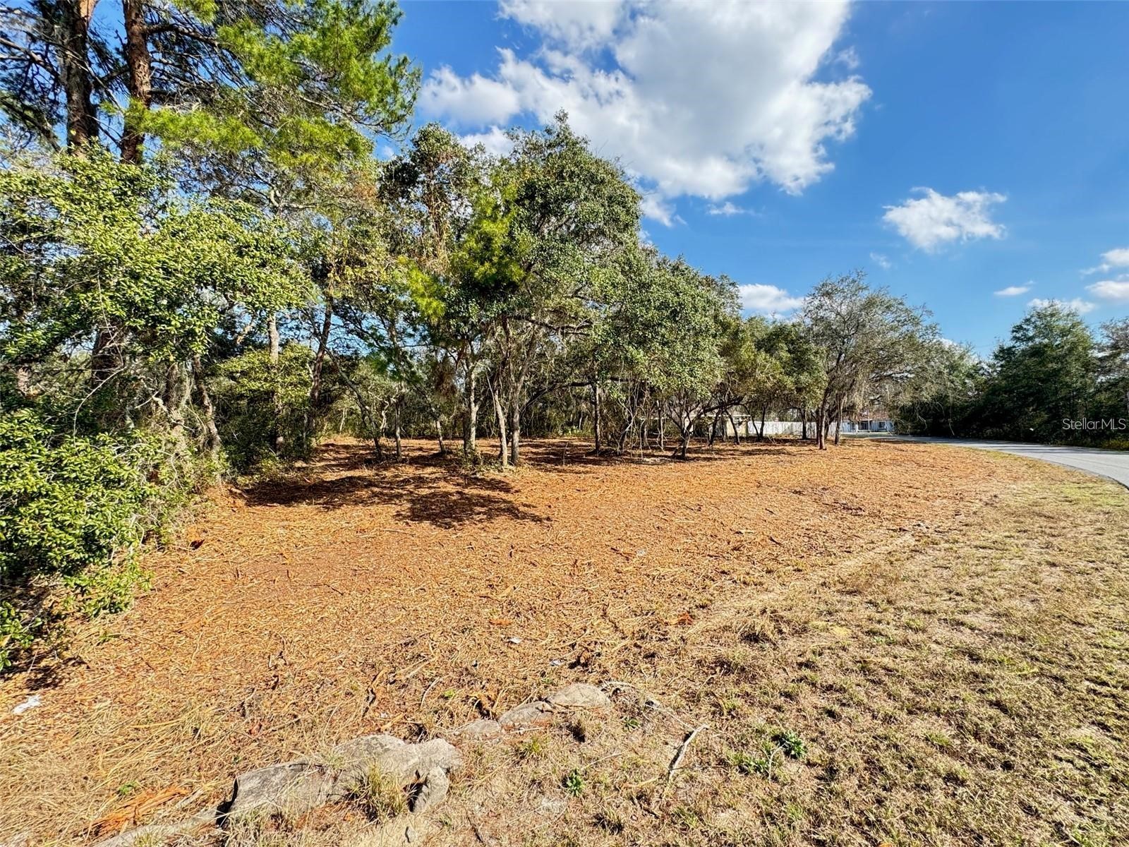 Oak Circle Ocala FL 34472 G5111029 image2