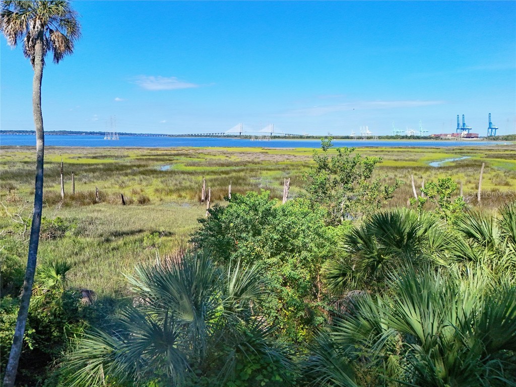 Oak Landings Drive Jacksonville FL 32225 V4944306 image41