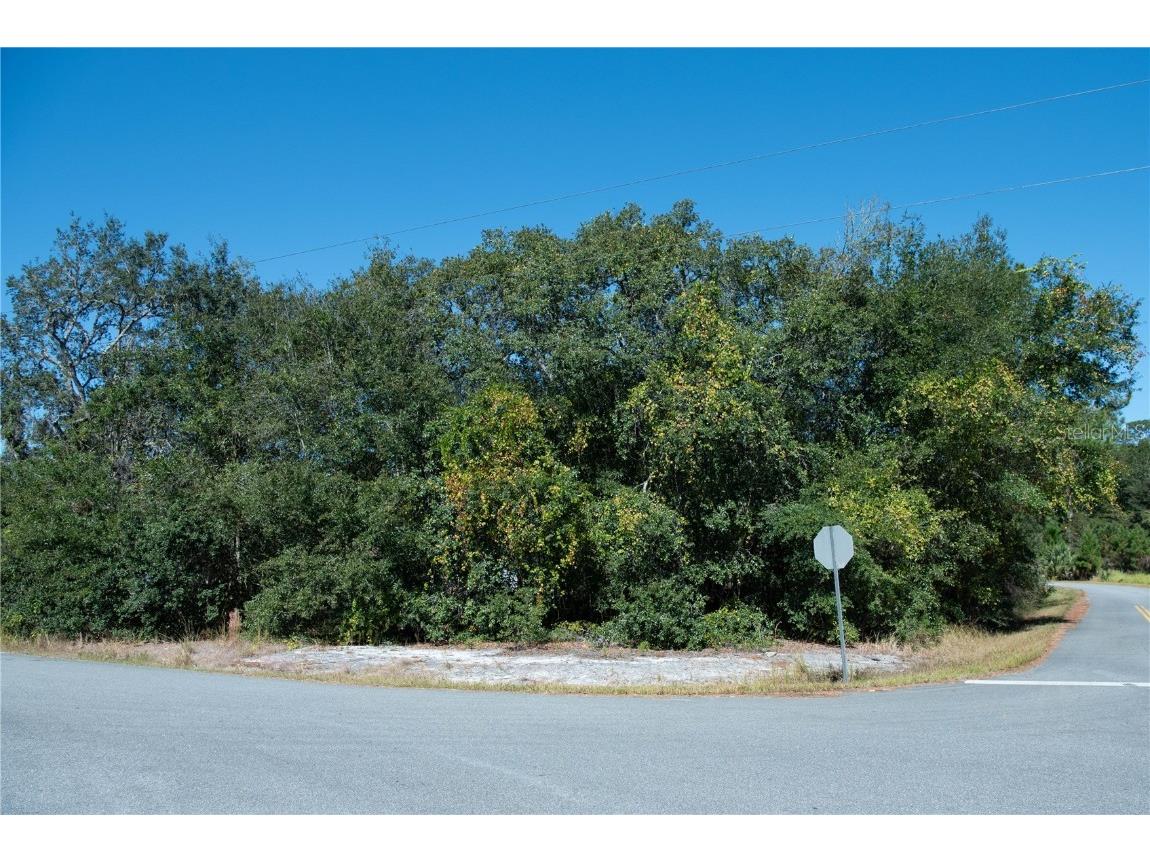 Oak Lane Road Ocala FL 34472 G5076830 image1