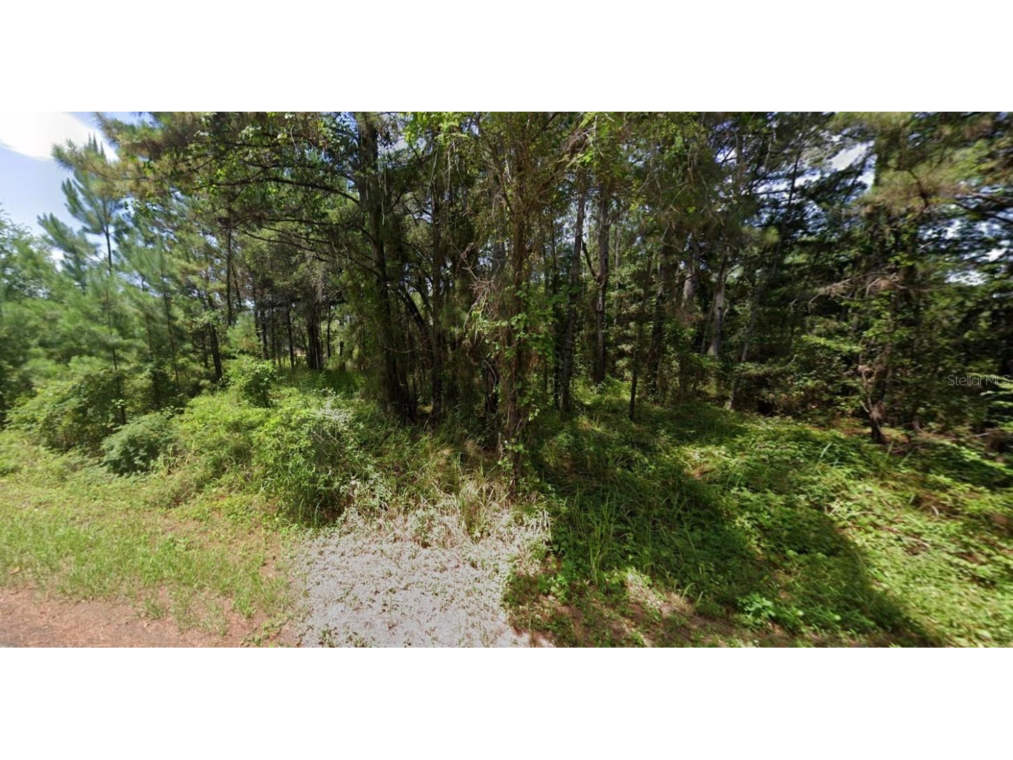 Oak Lane Track Ocala FL 34472 O6281871 image1