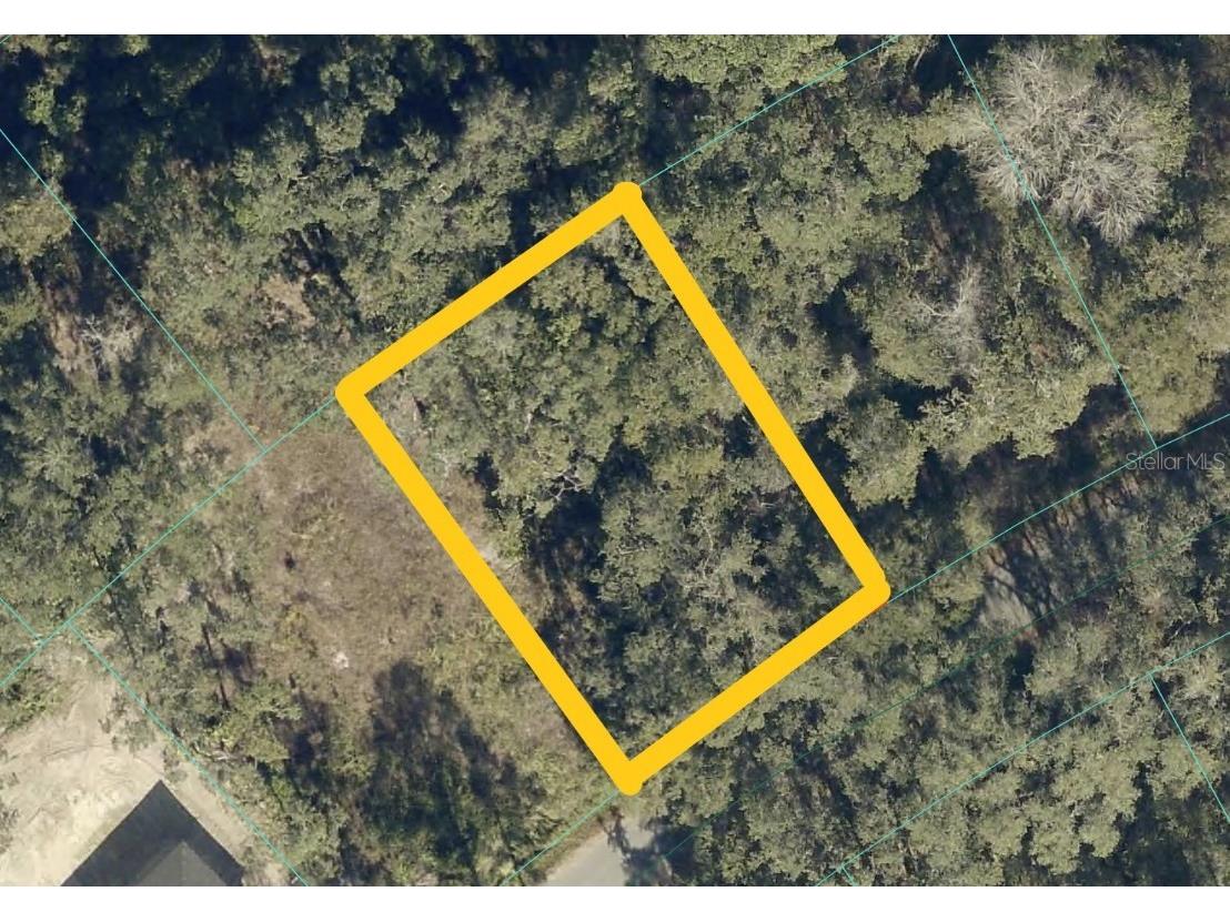 Oak Lane Way Ocala FL 34472 S5139521 image1