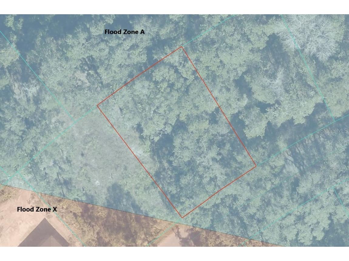 Oak Lane Way Ocala FL 34472 S5139521 image5