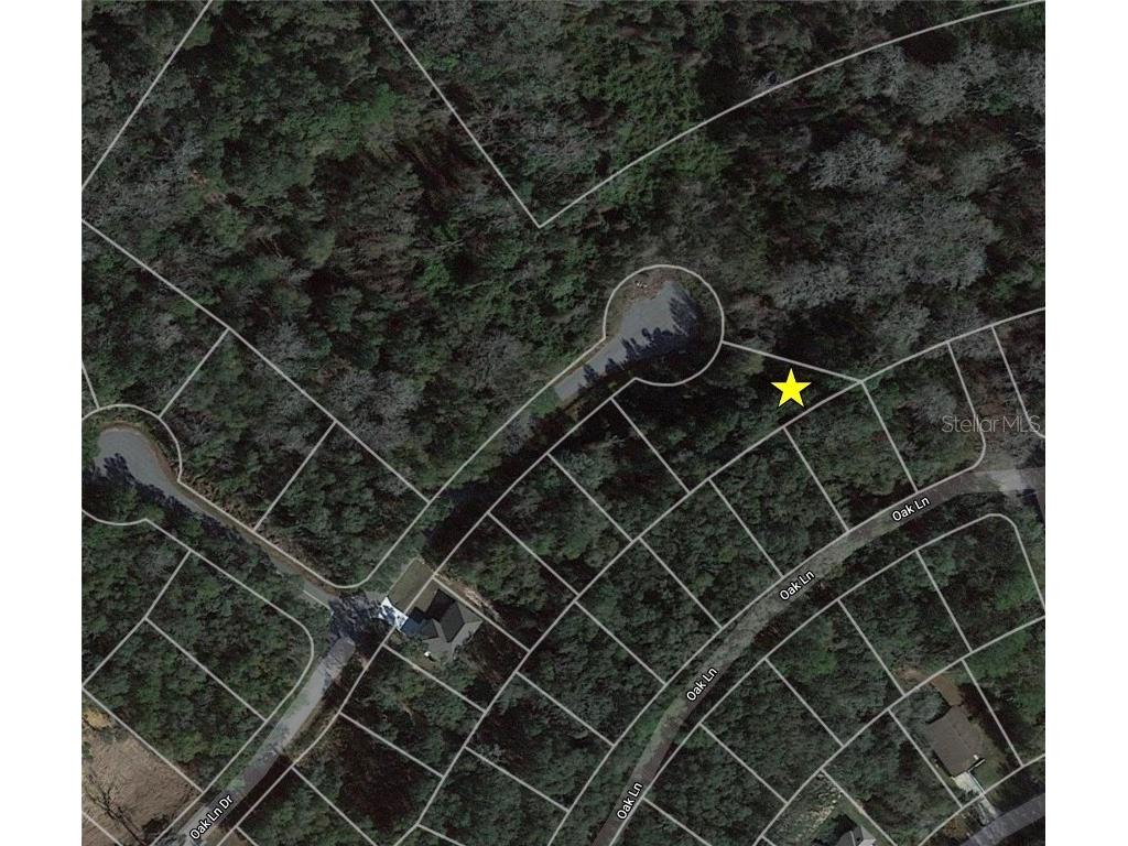 Oak Ln Drive Ocklawaha FL 32179 O5956397 image1