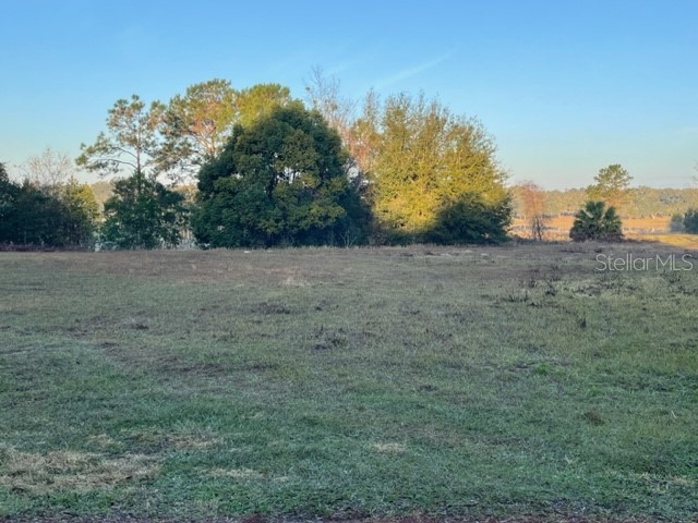 Oak Pointe Drive Lady Lake FL 32159 - Lady Lake G5064060 image1