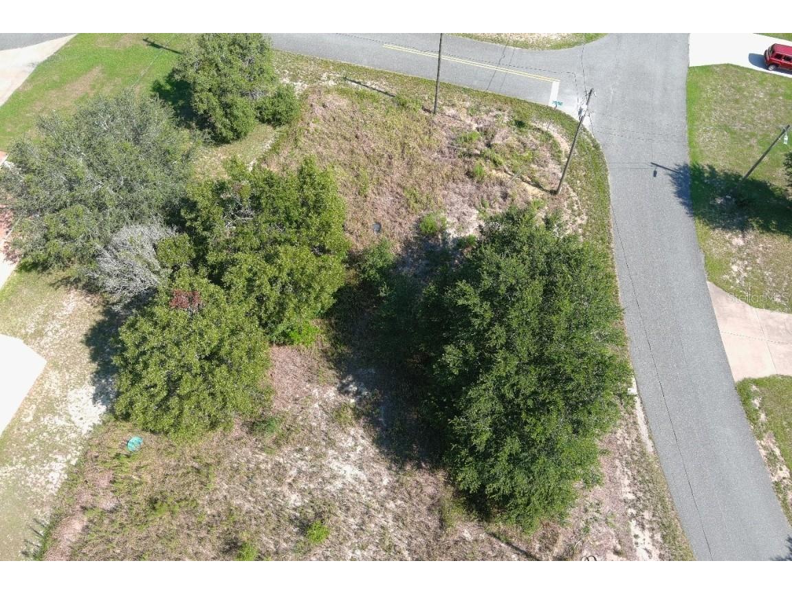 Oak Run Ocala FL 34472 T3396295 image1