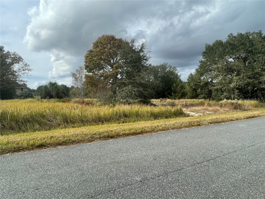 Oak Run Ocala FL 34472 V4933537 image1