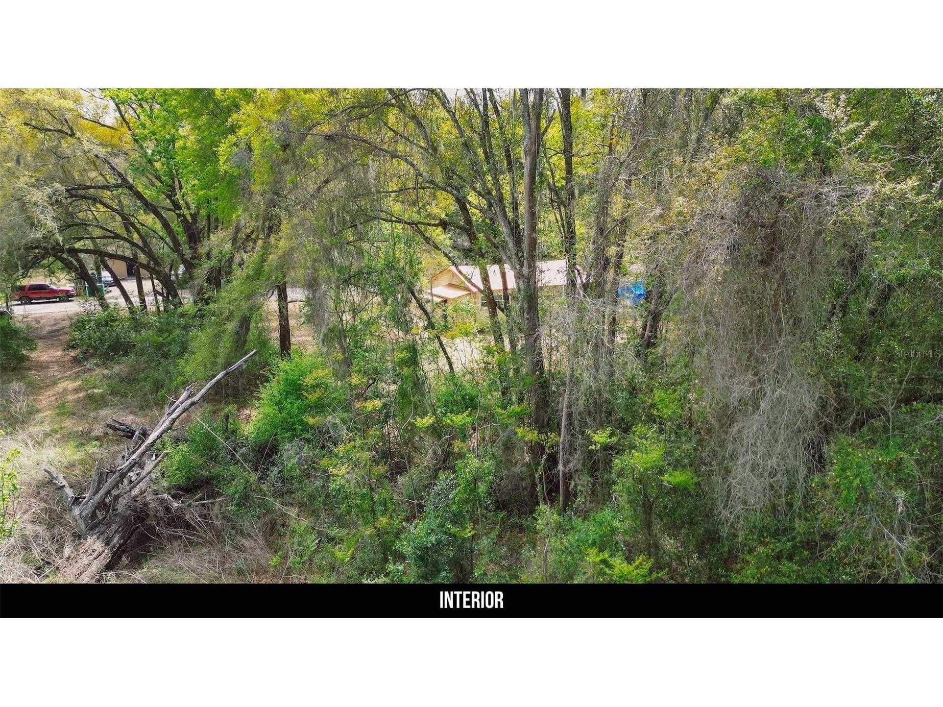 Oak St Wildwood FL 34785 TB8494700 image21