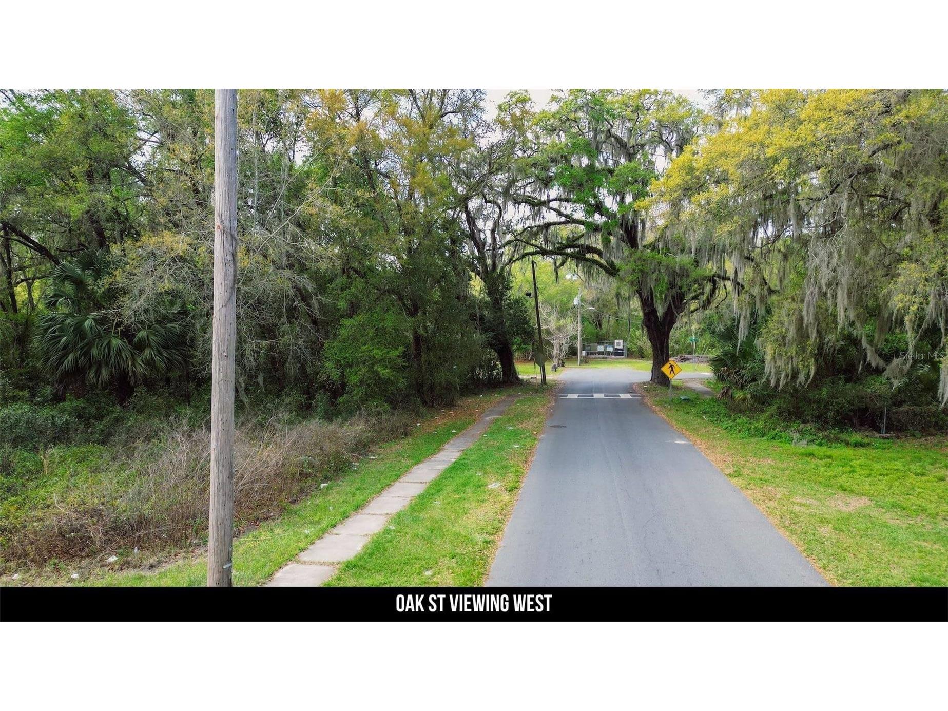 Oak St Wildwood FL 34785 TB8494700 image25