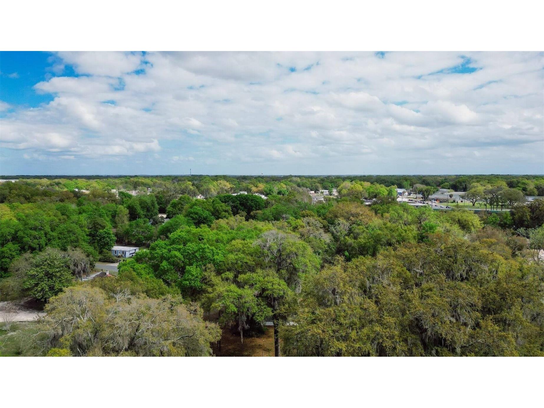 Oak St Wildwood FL 34785 TB8494700 image35