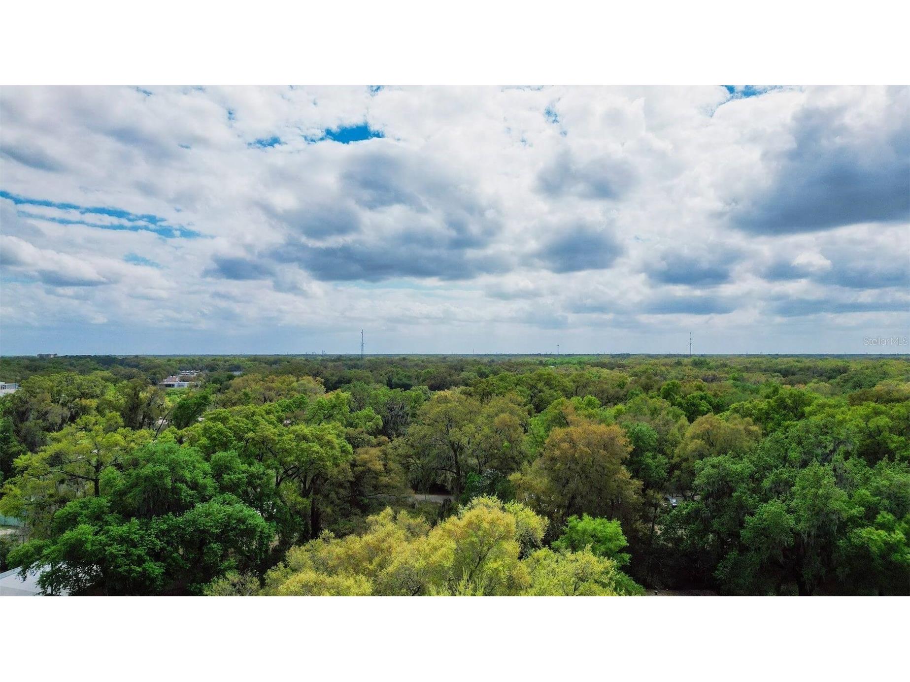 Oak St Wildwood FL 34785 TB8494700 image36