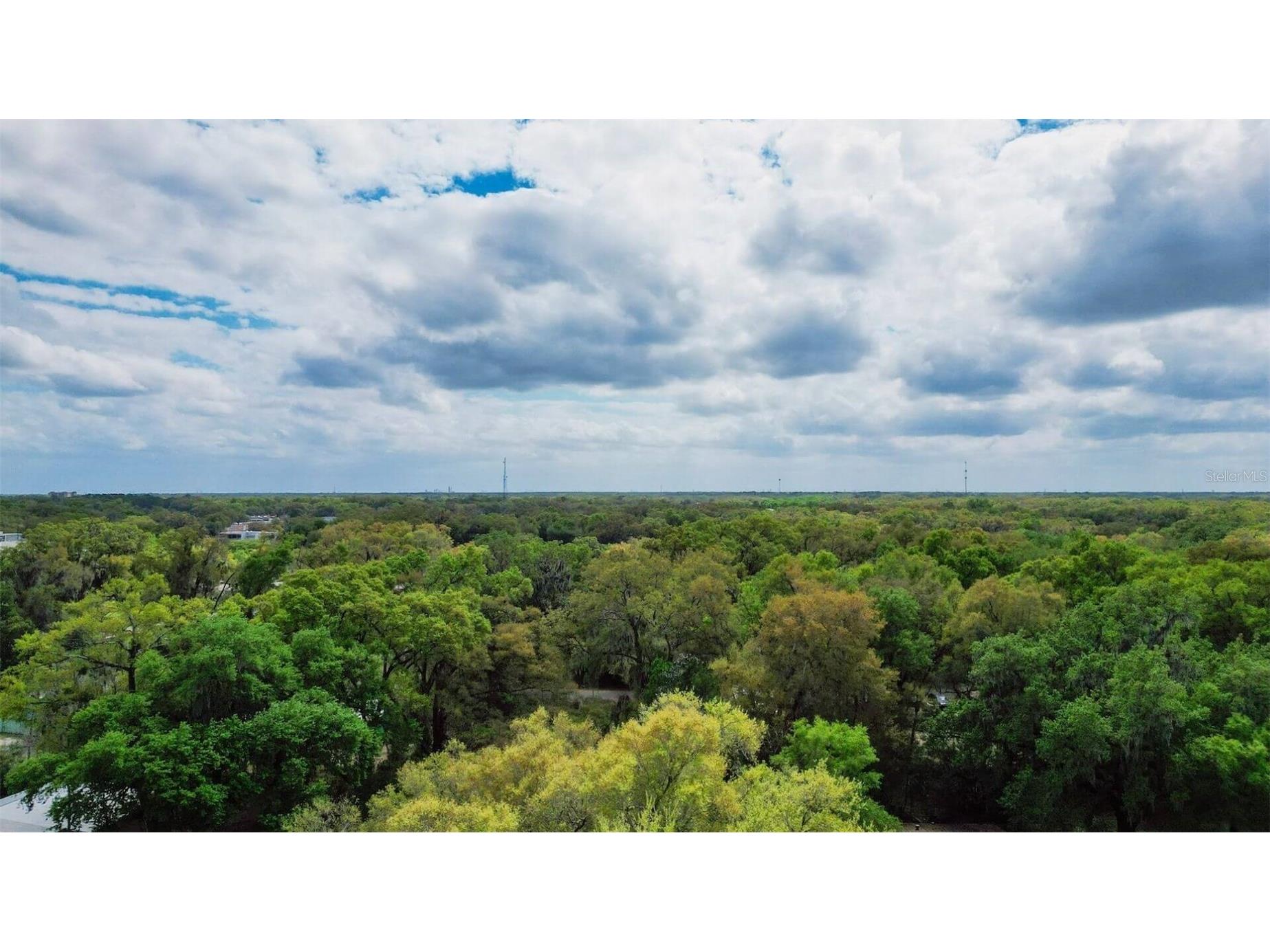 Oak St Wildwood FL 34785 TB8494700 image37