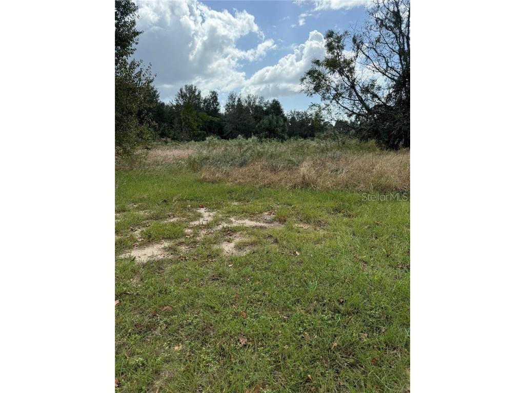 Oak Street Fruitland Park FL 34731 G5088508 image1