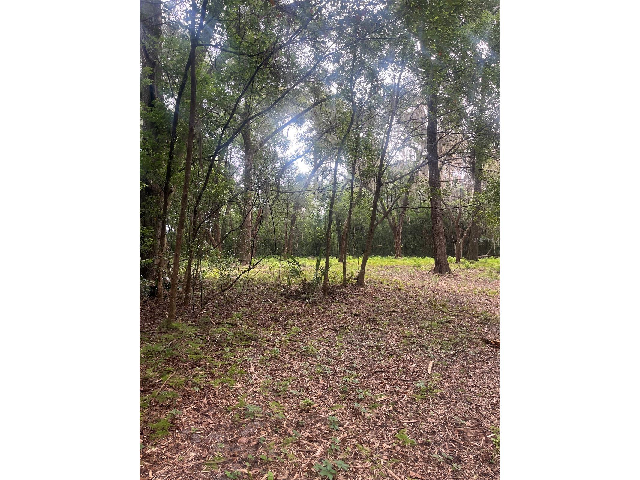 Oak Valley Drive Deland FL 32720 V4943608 image3