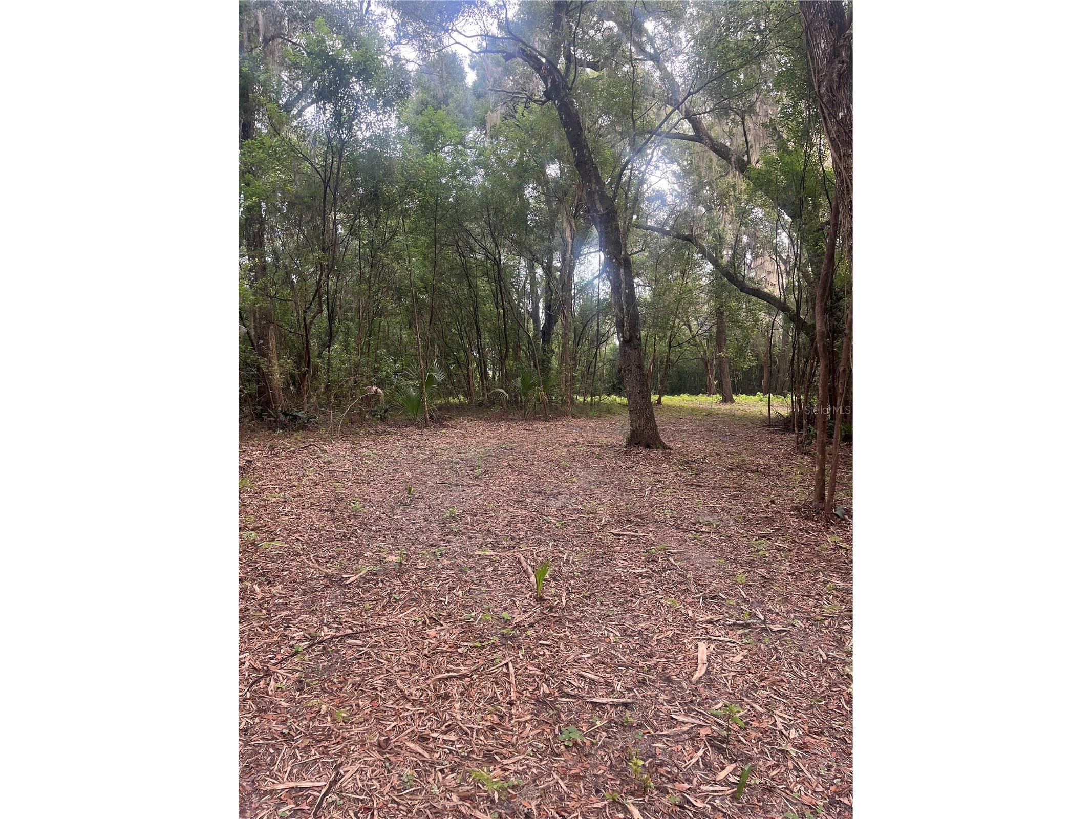 Oak Valley Drive Deland FL 32720 V4943608 image4