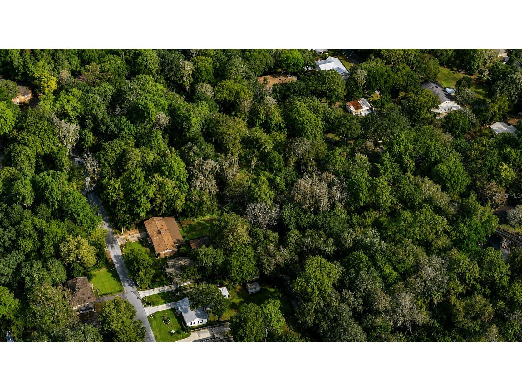 Oakdale Avenue Brooksville FL 34601 TB8527656 image1