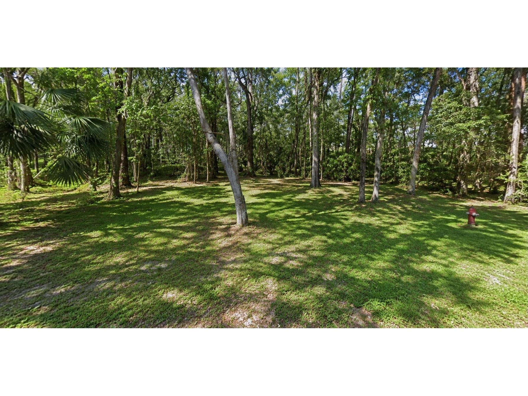 Oakdale Avenue Brooksville FL 34601 TB8527656 image2