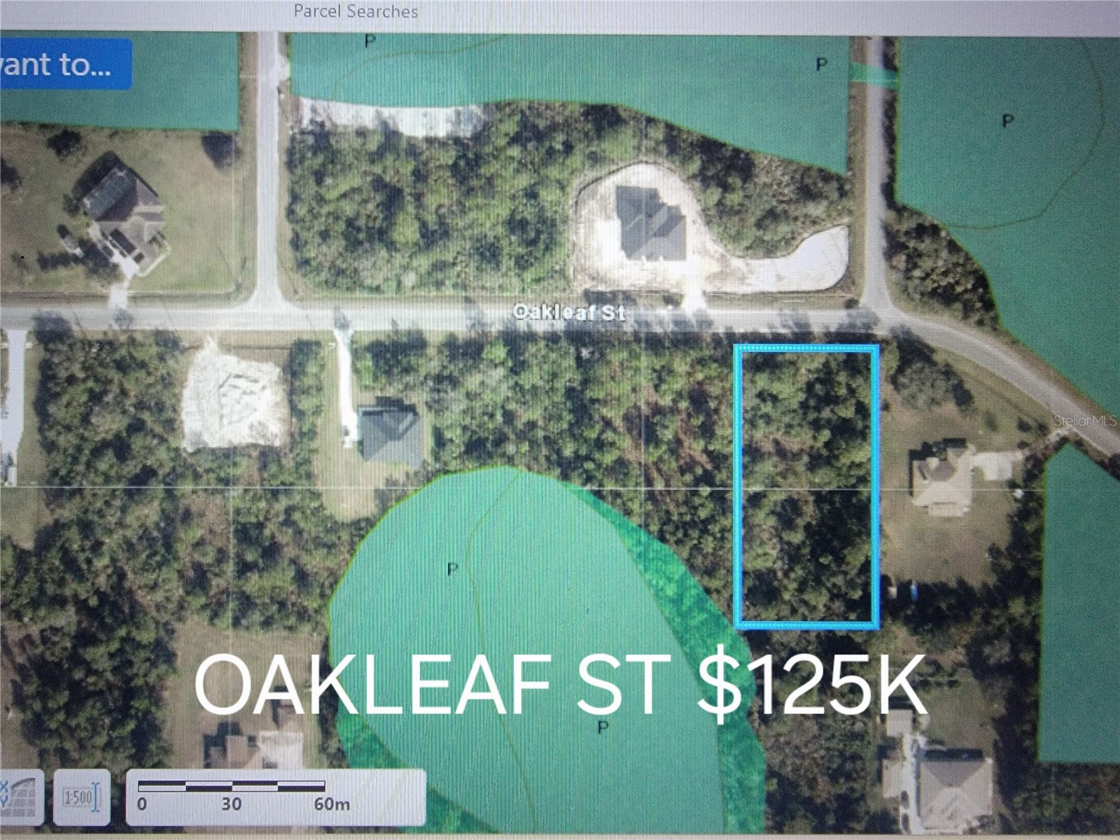 Oakleaf Street Orlando FL 32833 V4948036 image1