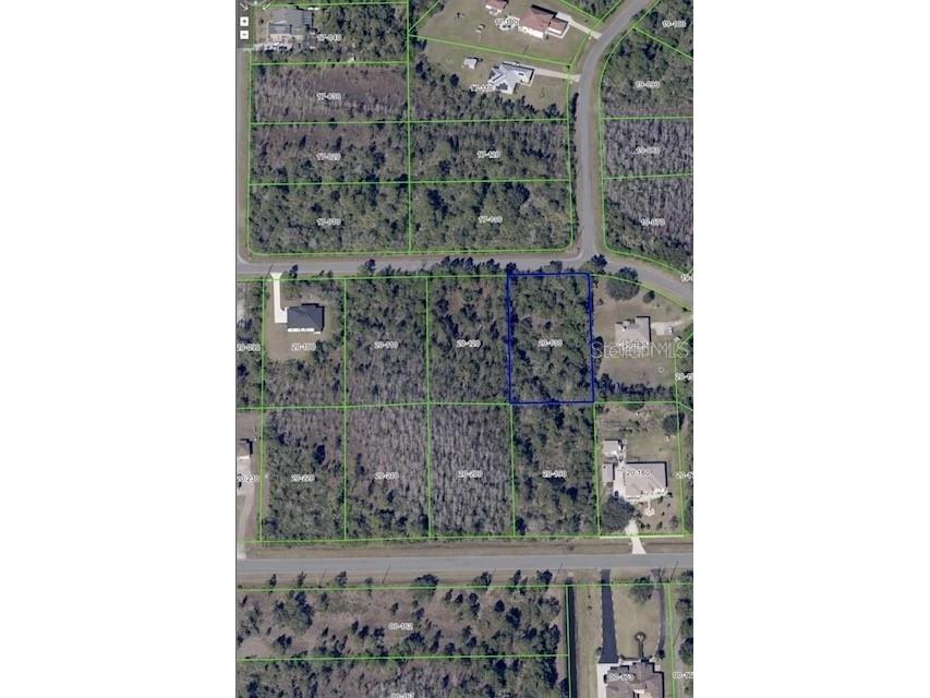 Oakleaf Street Orlando FL 32833 V4948036 image5