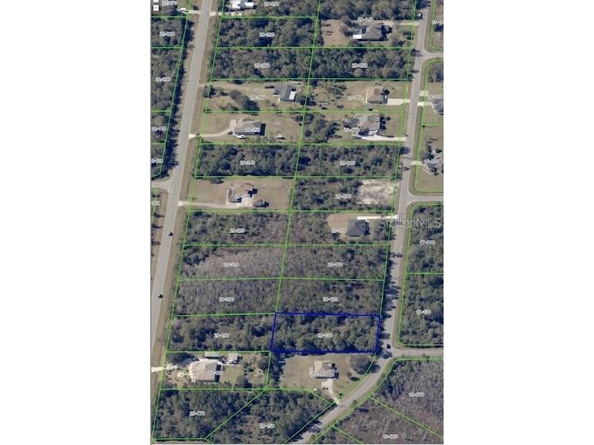 Oakleaf Street Orlando FL 32833 V4948036 image8