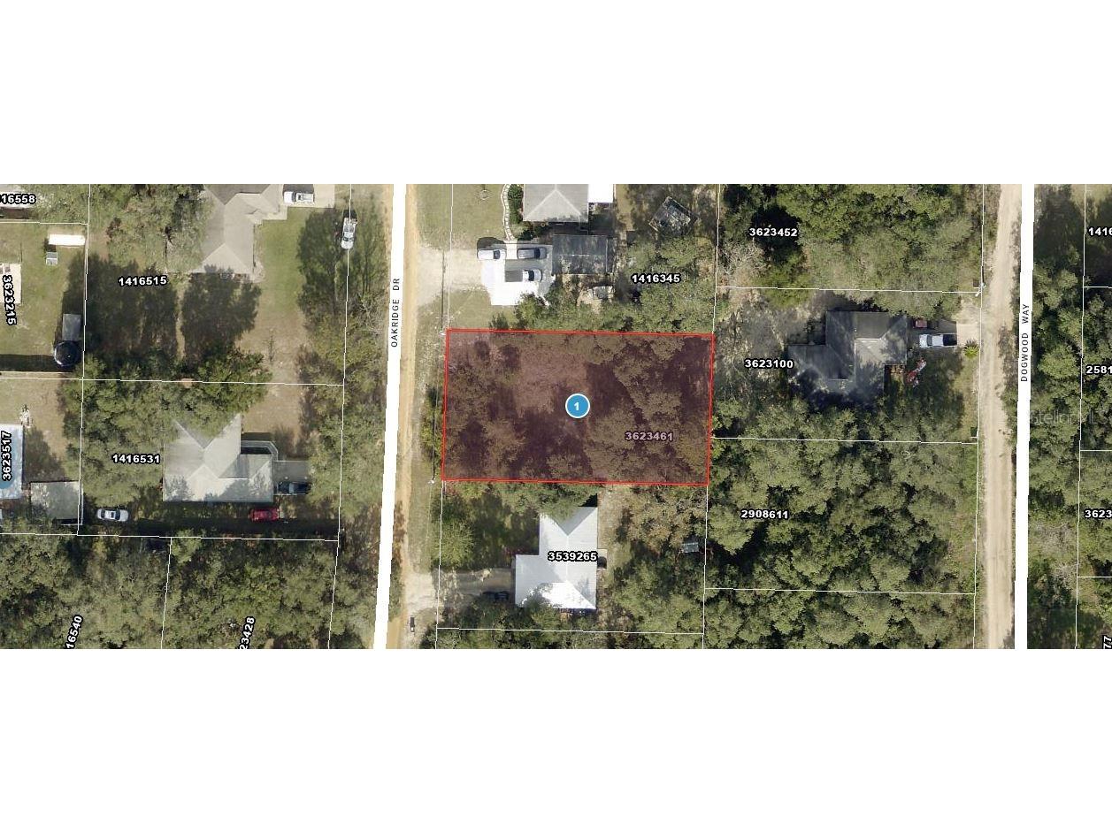 Oakridge Drive Lady Lake FL 32159 C7520050 image1