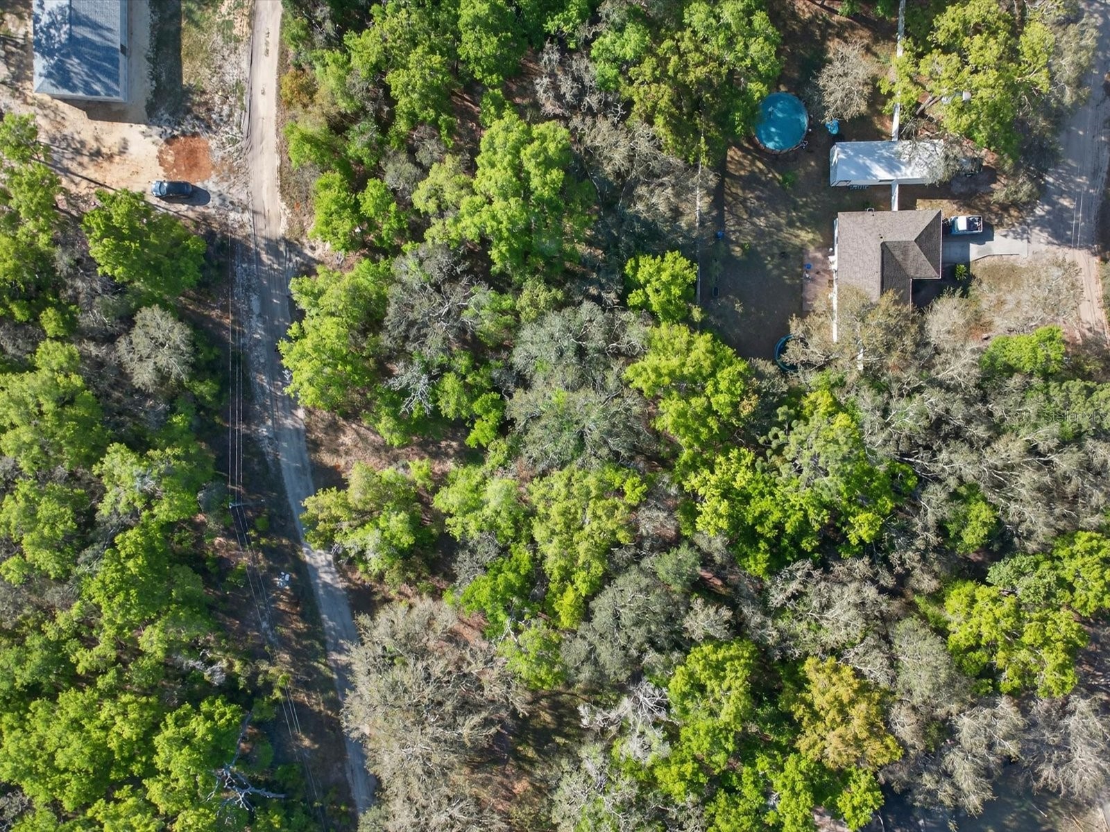 Oakridge Drive Lady Lake FL 32159 O6393841 image12